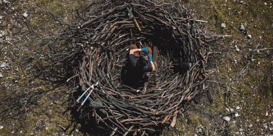 I nidi del Montiferru celebrazione della vita dopo il danno degli incendi